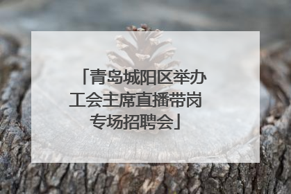 青岛城阳区举办工会主席直播带岗专场招聘会