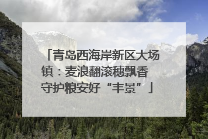 青岛西海岸新区大场镇：麦浪翻滚穗飘香 守护粮安好“丰景”