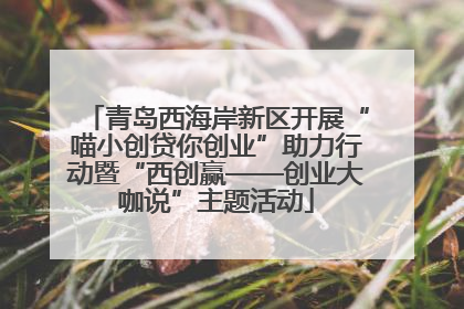 青岛西海岸新区开展“喵小创贷你创业”助力行动暨“西创赢——创业大咖说”主题活动
