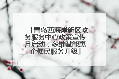 青岛西海岸新区政务服务中心政策宣传月启动，多维赋能惠企便民服务升级