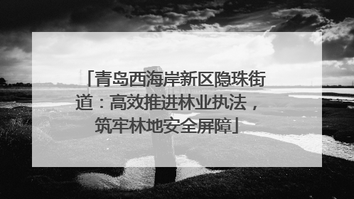 青岛西海岸新区隐珠街道：高效推进林业执法，筑牢林地安全屏障