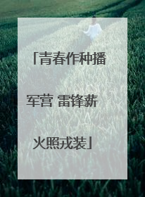 青春作种播军营 雷锋薪火照戎装