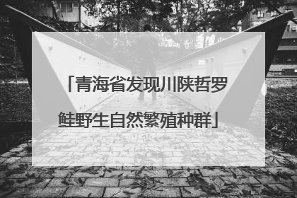 青海省发现川陕哲罗鲑野生自然繁殖种群