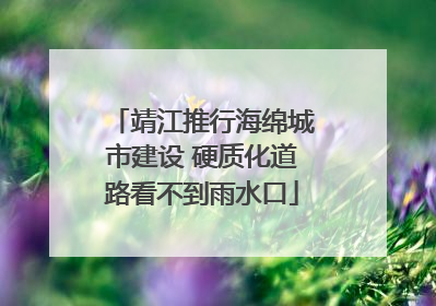 靖江推行海绵城市建设 硬质化道路看不到雨水口