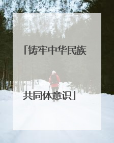 铸牢中华民族共同体意识