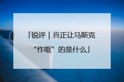 锐评｜真正让马斯克“作呕”的是什么