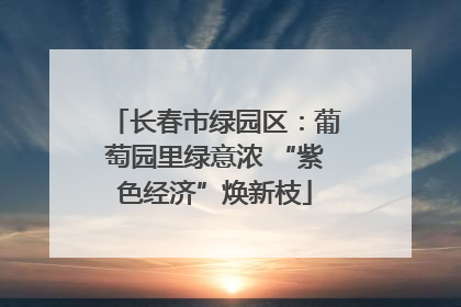 长春市绿园区：葡萄园里绿意浓 “紫色经济”焕新枝