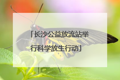 长沙公益放流站举行科学放生行动
