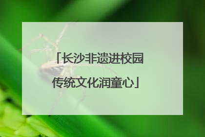 长沙非遗进校园 传统文化润童心