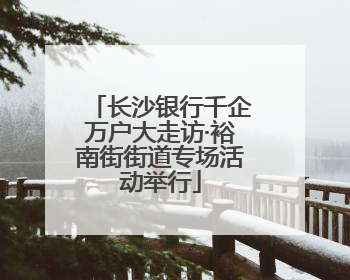 长沙银行千企万户大走访·裕南街街道专场活动举行