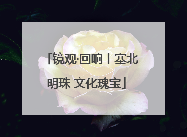 镜观·回响丨塞北明珠 文化瑰宝