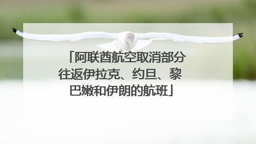 阿联酋航空取消部分往返伊拉克、约旦、黎巴嫩和伊朗的航班