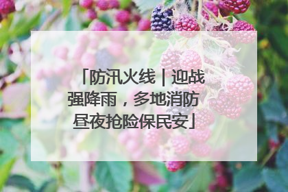 防汛火线｜迎战强降雨，多地消防昼夜抢险保民安
