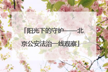 阳光下的守护——北京公安法治一线观察