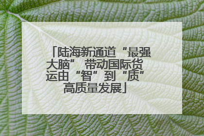 陆海新通道“最强大脑” 带动国际货运由“智”到“质”高质量发展