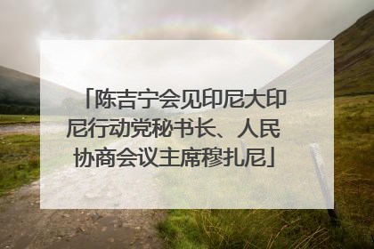 陈吉宁会见印尼大印尼行动党秘书长、人民协商会议主席穆扎尼