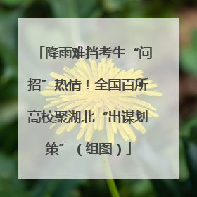 降雨难挡考生“问招”热情！全国百所高校聚湖北“出谋划策”（组图）