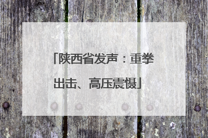 陕西省发声：重拳出击、高压震慑