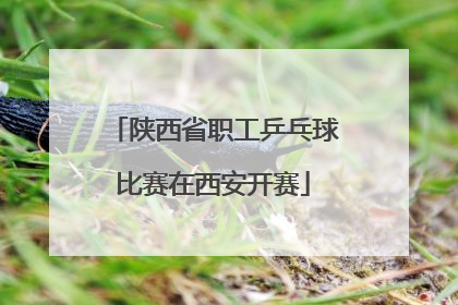 陕西省职工乒乓球比赛在西安开赛