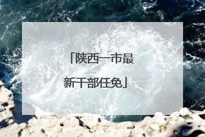 陕西一市最新干部任免