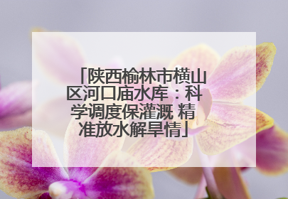 陕西榆林市横山区河口庙水库：科学调度保灌溉 精准放水解旱情