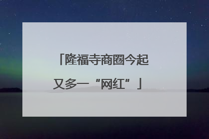 隆福寺商圈今起又多一“网红”