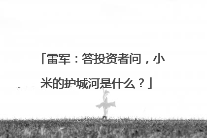 雷军：答投资者问，小米的护城河是什么？