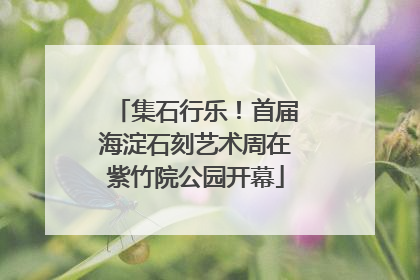 集石行乐！首届海淀石刻艺术周在紫竹院公园开幕