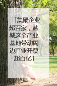 集聚企业超百家，盐城这个产业基地带动周边产业开票超百亿