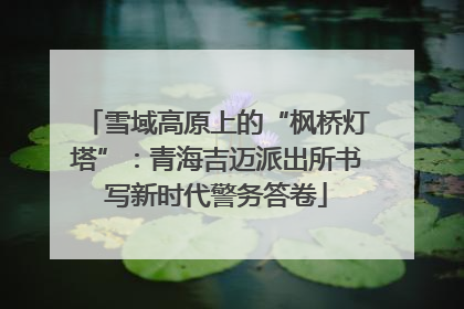 雪域高原上的“枫桥灯塔”：青海吉迈派出所书写新时代警务答卷