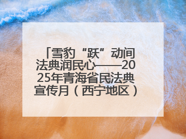 雪豹“跃”动间 法典润民心——2025年青海省民法典宣传月（西宁地区）主场活动见闻