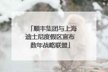 顺丰集团与上海迪士尼度假区宣布数年战略联盟