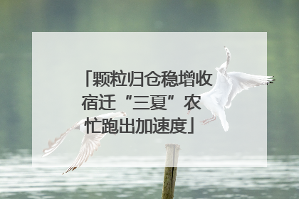 颗粒归仓稳增收 宿迁“三夏”农忙跑出加速度