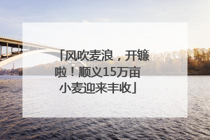 风吹麦浪，开镰啦！顺义15万亩小麦迎来丰收
