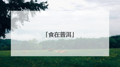 食在普洱