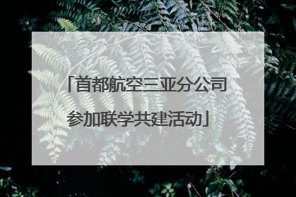 首都航空三亚分公司参加联学共建活动