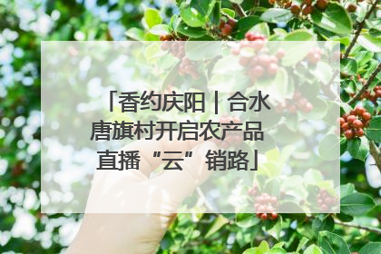 香约庆阳｜合水唐旗村开启农产品直播“云”销路