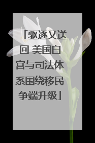 驱逐又送回 美国白宫与司法体系围绕移民争端升级