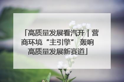 高质量发展看汽开｜营商环境“主引擎” 轰响高质量发展新赛道