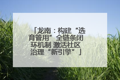 龙南：构建“选育管用”全链条闭环机制 激活社区治理“新引擎”