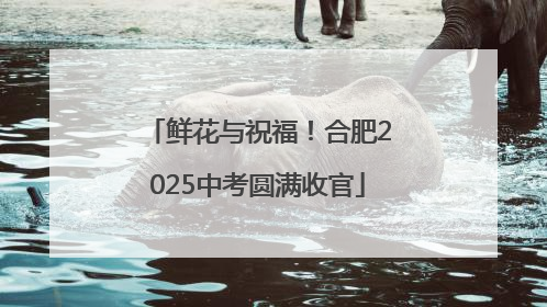 鲜花与祝福！合肥2025中考圆满收官