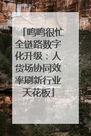 鸣鸣很忙全链路数字化升级：人货场协同效率刷新行业天花板