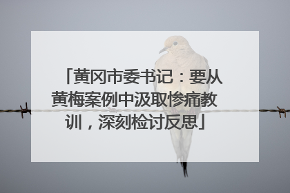 黄冈市委书记：要从黄梅案例中汲取惨痛教训，深刻检讨反思