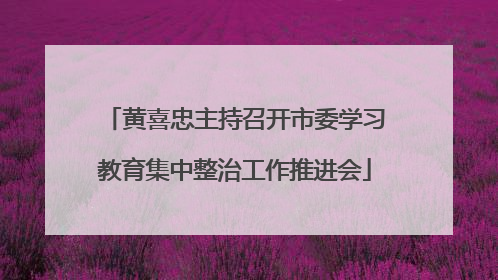 黄喜忠主持召开市委学习教育集中整治工作推进会