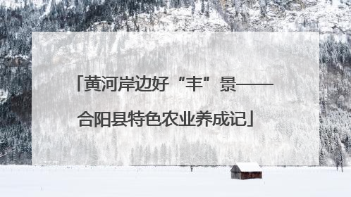 黄河岸边好“丰”景——合阳县特色农业养成记
