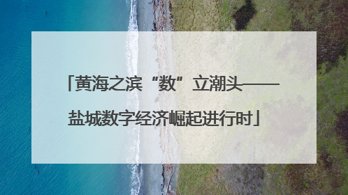 黄海之滨“数”立潮头——盐城数字经济崛起进行时
