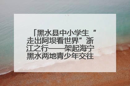 黑水县中小学生“走出阿坝看世界”浙江之行——架起海宁黑水两地青少年交往交流交融新桥梁
