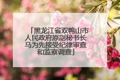 黑龙江省双鸭山市人民政府原副秘书长马为先接受纪律审查和监察调查