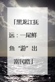 黑龙江抚远：一尾鲜鱼“游”出富民路