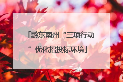 黔东南州“三项行动”优化招投标环境